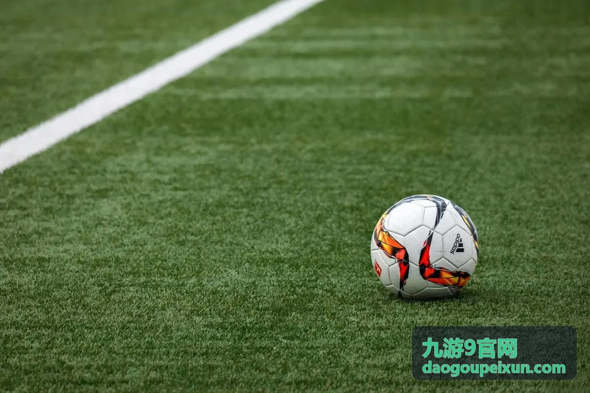 九游9官网入口与下载安装说明配图