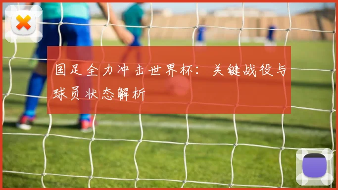 国足全力冲击世界杯：关键战役与球员状态解析